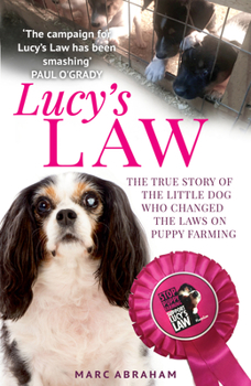 Paperback Lucy's Law Book