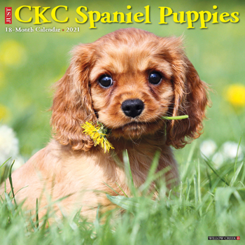 Calendar Just Cavalier King Charles Spaniel Puppies 2021 Wall Calendar (Dog Breed Calendar) Book