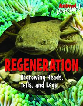 Library Binding Regeneration: Regrowing Heads, Tails, and Legs Book