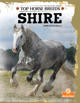 Hardcover Shire Book