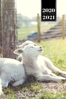 Sheep Lamm Shepherd Herder Farmer Week Planner Weekly Organizer Calendar 2020 / 2021 - Sunbath: Cute Wildlife Animal Pet Bullet Journal Notebook Diary in 6" x 9" Inch Pocket Size