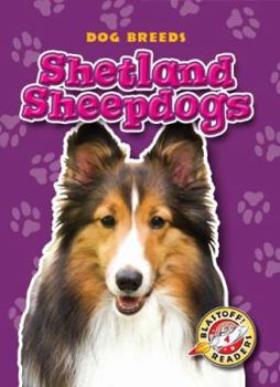 Library Binding Shetland Sheepdogs Book