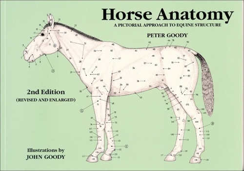 Paperback Horse Anatomy: A Pictorial Approach to Equine Structure Book