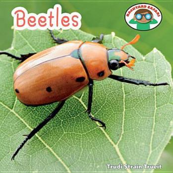 Beetles - Book  of the Backyard Safari