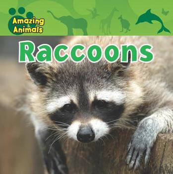 Paperback Raccoons Book