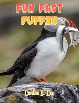 Fun Fact Puffin: Puffin fact for girl age 1-10 Puffin fact for boy age 1-10 puffins facts for kids information puffin