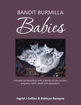 Paperback Bandit Burmilla Babies: Intimate Conversations with a Family of Cats on Love, Pregancy, Birth, Death and Separation. Book