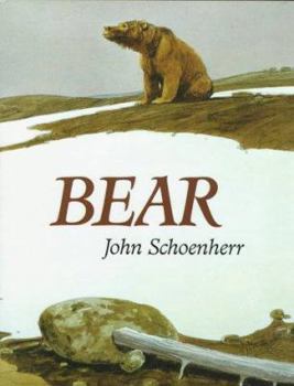 Hardcover Bear Book