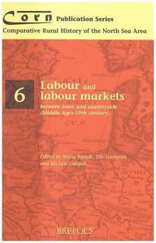 Paperback Labour and Labour Markets Between Town and Countryside (Middle Ages - 19th Century) Book