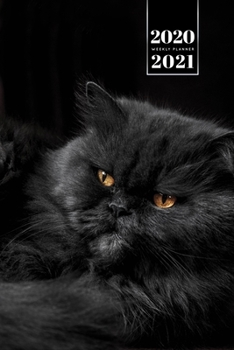 Persian Cat Kitten Kitty Tomcat Week Planner Organizer 2020 / 2021 - Very Black: Cute Animal Pet Owner Weekly Bullet Journal Notebook Diary in 6” x 9” Inch Pocket Size