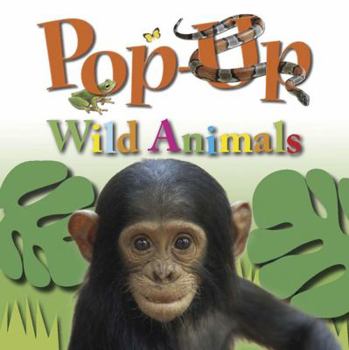 Hardcover Pop-Up Wild Animals Book