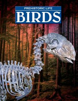 Library Binding Birds Book