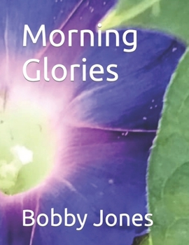 Paperback Morning Glories Book