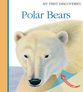 Spiral-bound Polar Bears Book