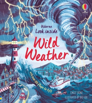 Look Inside Wild Weather - Book  of the Usborne Look Inside