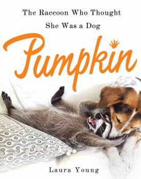 Hardcover Pumpkin: The Raccoon Who Thought She Was a Dog Book