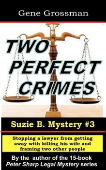 Two Perfect Crimes - Book #3 of the Suzy B. Mysteries