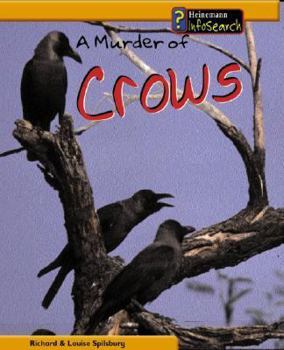 A Murder of Crows (Spilsbury, Louise. Animal Groups.) - Book  of the Animal Groups