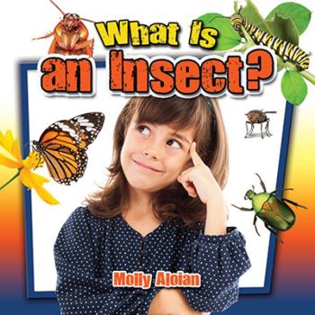 Paperback What Is an Insect? Book