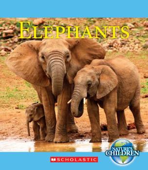 Paperback Elephants Book