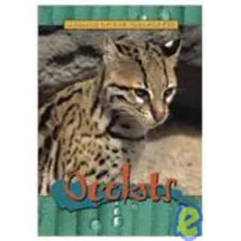 Paperback Ocelots Sb-Aotr Book