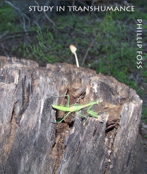 Paperback Study in Transhumance Book