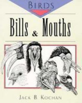 Paperback Birds: Bills & Mouths Book