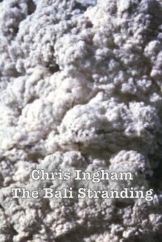 Paperback The Bali Stranding Book