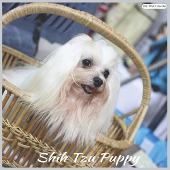 Paperback Shih Tzu Puppy 2021 Wall Calendar: Official Shih Tzu Dogs 18 months 2021 Calendar Book