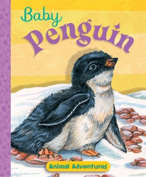 Hardcover Baby Penguin Book