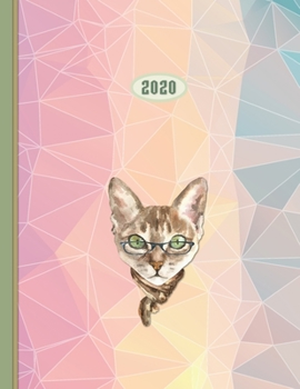 Paperback 2020 Planner: Clever Cat - Hourly at a Glance 12 Months Week to two-page Diary 150 pages 8.5 x 11 with Contacts - Password - Birthda Book