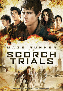 DVD Maze Runner: The Scorch Trials Book