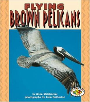 Paperback Flying Brown Pelicans Book