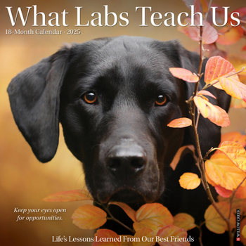 Calendar What Labs Teach Us 2025 12 X 12 Wall Calendar Book