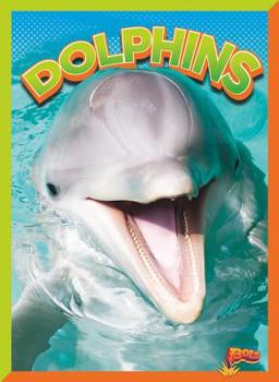 Paperback Dolphins Book