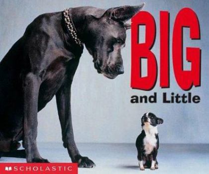 Board book Big and Little Book