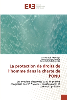 Paperback La protection de droits de l'homme dans la charte de l'ONU [French] Book