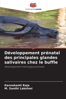 Développement prénatal des principales glandes salivaires chez le buffle (French Edition)