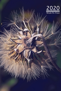 Paperback A5 2020 Diary Week To View Paperback Cover With Alternative Design -: - Dandelion 2020 Diary Cover -, Year Planner For Business, Office, Home, Univers Book