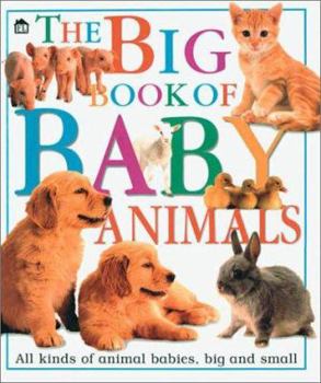 Hardcover The Big Book of Baby Animals Book