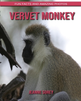 Paperback Vervet Monkey: Fun Facts and Amazing Photos Book