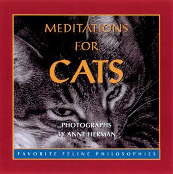 Hardcover Meditations for Cats: Favorite Feline Philosophies Book