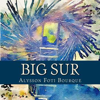 Paperback Big Sur Book