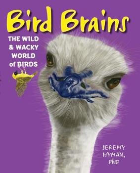 Hardcover Bird Brains: The Wild & Wacky World of Birds Book