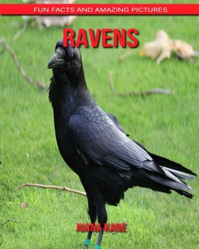 Paperback Ravens: Fun Facts and Amazing Pictures Book