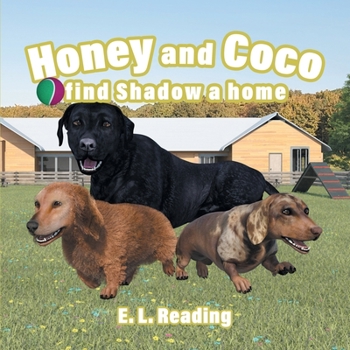 Paperback Honey and Coco find Shadow a home Book