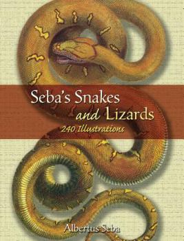 Paperback Seba's Snakes and Lizards: 240 Illustrations Book