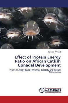 Paperback Effect of Protein Energy Ratio on African Catfish Gonadal Development Book