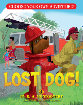 Paperback Lost Dog! Book