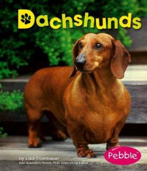 Dachshunds - Book  of the Dogs Library